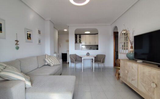APARTMENT IN LA MATA