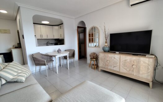APARTMENT IN LA MATA