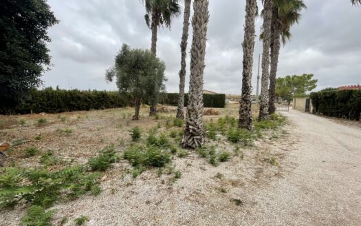 FINCA IN DAYA VIEJA