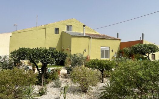 COUNTRY HOUSE IN ELCHE