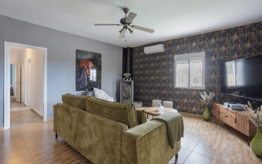 COUNTRY PROPERTY/FINCA IN ALBATERA