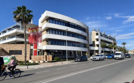 APARTMENT IN PLAYA FLAMENCA