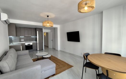 APARTMENT IN TORREVIEJA