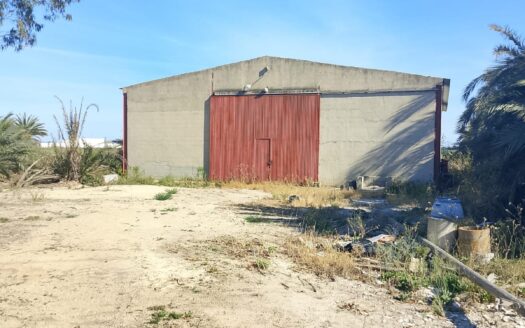 LARGE RUSTIC PLOT WITH WARENHOUSE IN EL REALENGO, CREVILLENTE