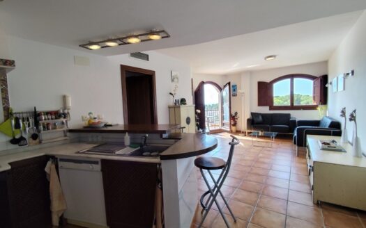PENTHOUSE IN PUNTA PRIMA