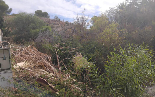 PLOT OF LAND IN ALGORFA