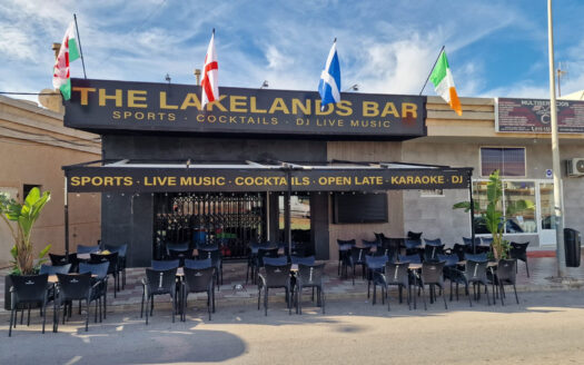 COMMERCIAL IN TORREVIEJA