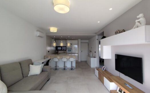 PENTHOUSE IN EL RASO
