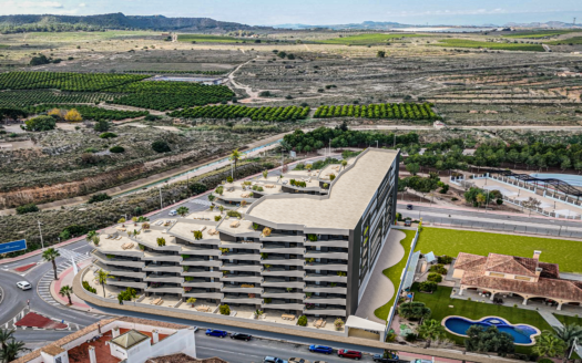 STYLISH NEW APARTMENTS WITH LARGE TERRACES IN SAN MIGUEL DE SALINAS